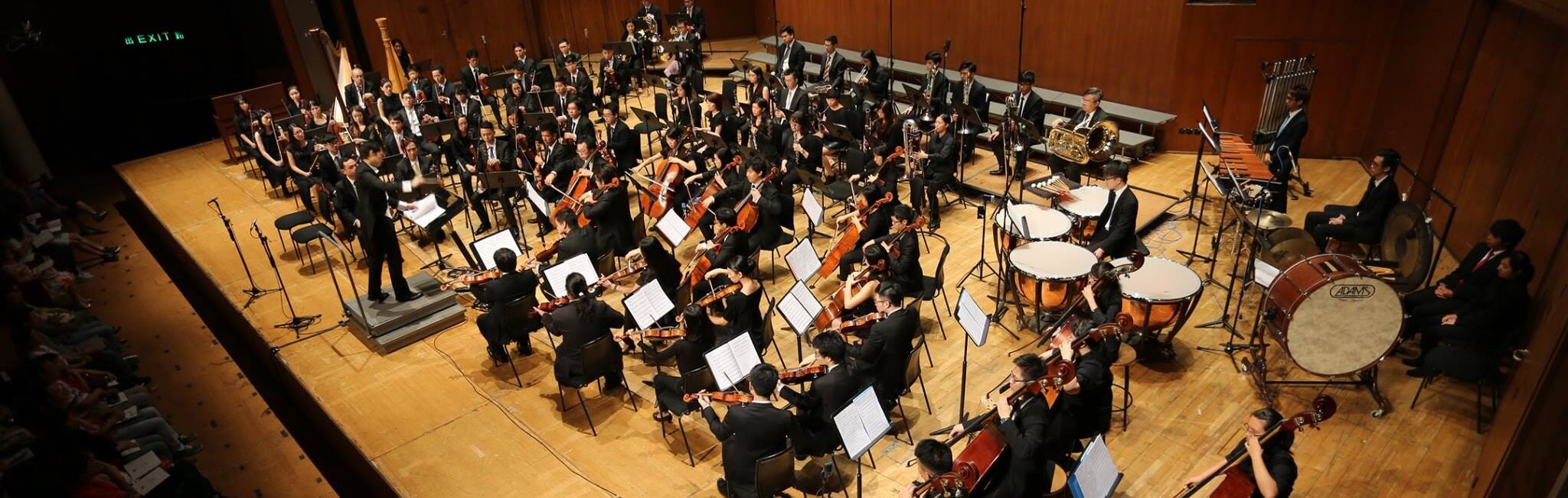 2015 Orchestra