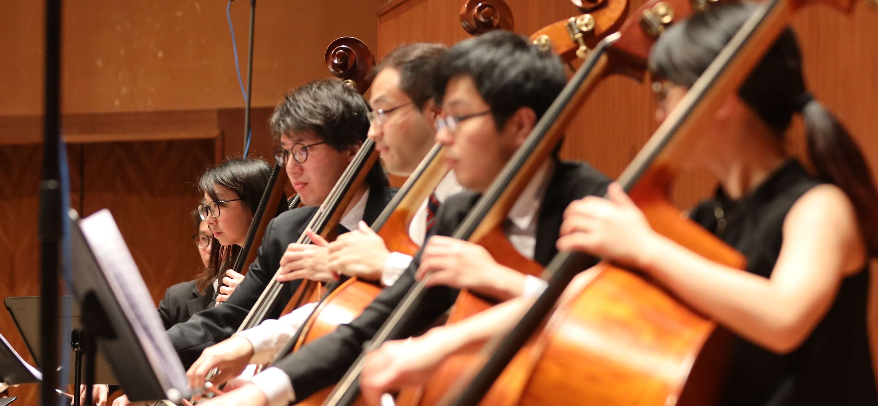 2013 Orchestra